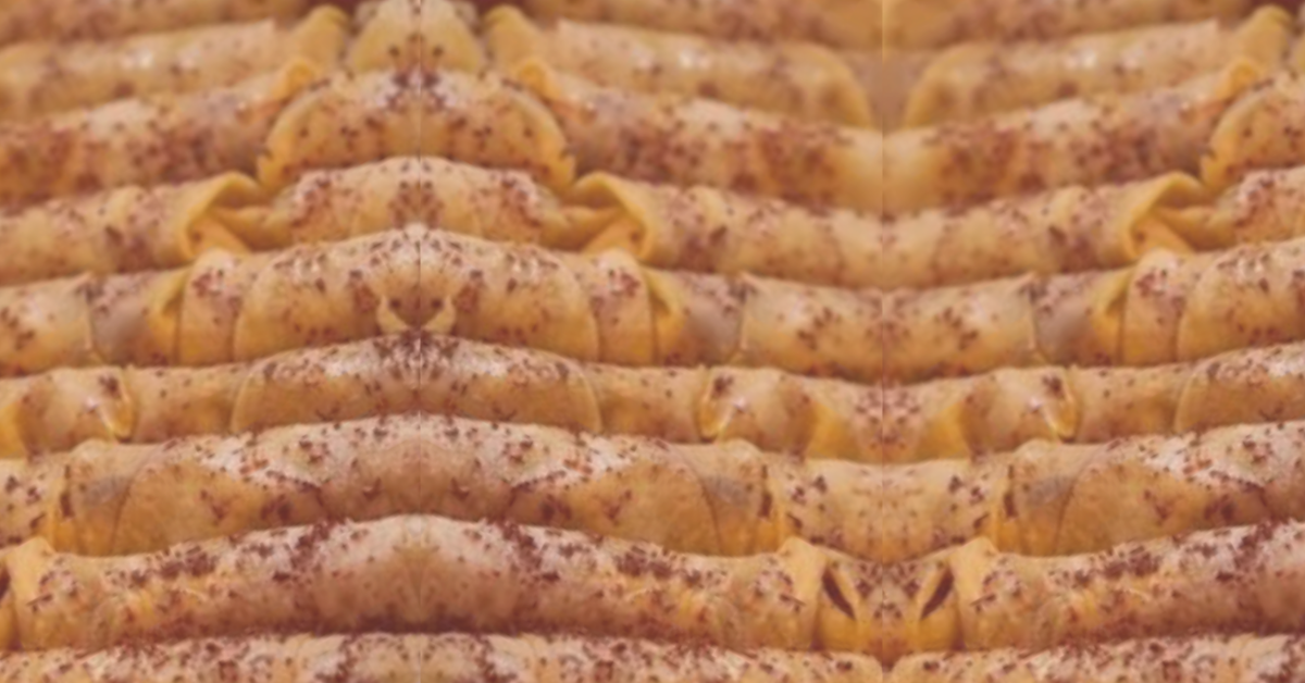 Musakhan rolls رولات مسخن